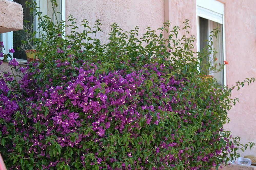 Hotel Princesse D'Azur Sainte-Maxime Exteriér fotografie
